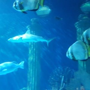 Meet your Posher, Nathan